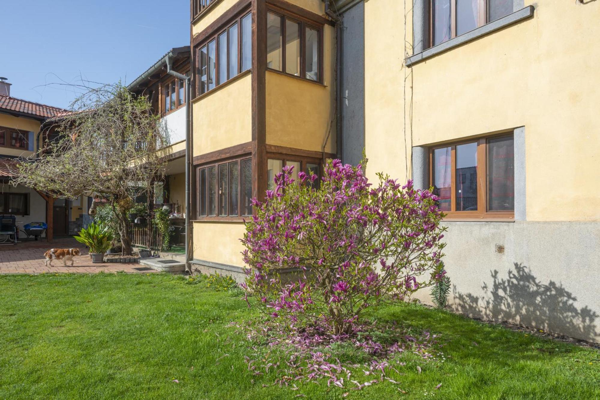 Mlyn-Osvracin Apartment Luaran gambar